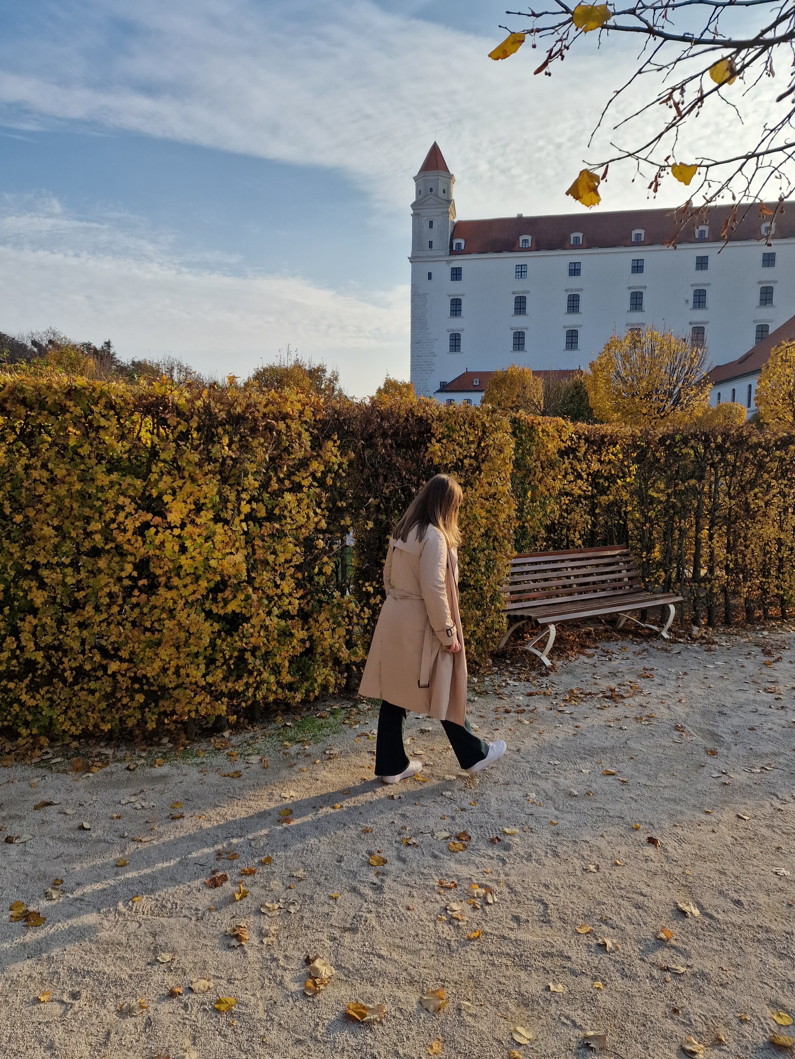 Bratislava castle in autumn